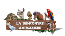 Animation de la semaine au Zoo Parc